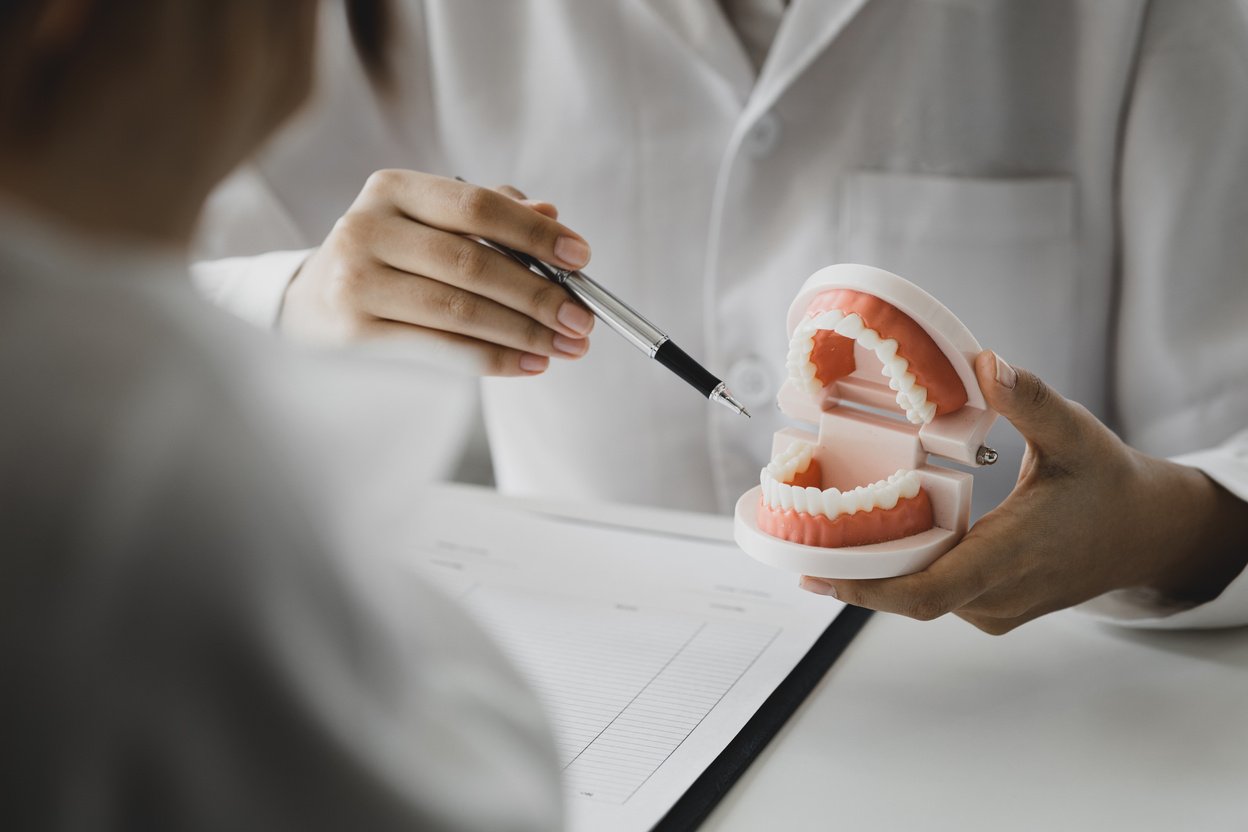 Dentists hold dental models used for dental care consultations, dental clinics, dental and oral treatments and treatments, patients undergo dental care consultations. Dental concept.